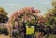 �������� Komar 8-936 Rose Garden