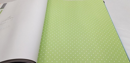 ���� Andrea Rossi Kidsland 54263-8