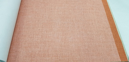 ���� Caselio Linen 68523698