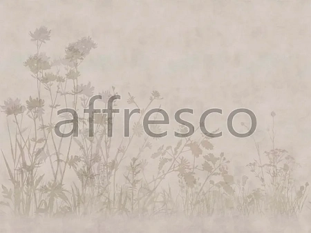 ��������� ���� AFFRESCO ���.ZK432-COL2
