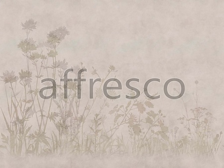 ��������� ���� AFFRESCO ���.ZK432-COL2