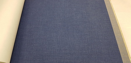 ���� Caselio Linen 68526640